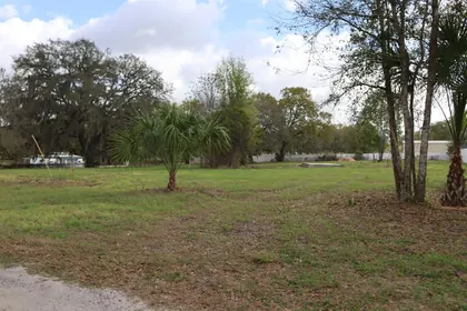 BELLEVIEW FL Property