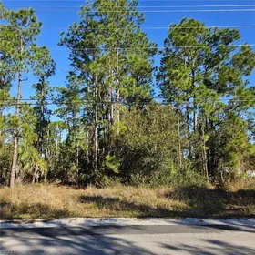 LEHIGH ACRES FL Property