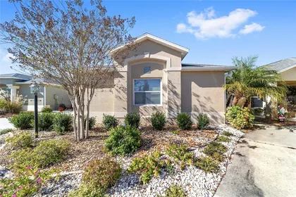 THE VILLAGES FL Home