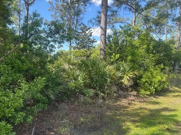 PALM COAST FL Property