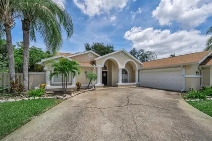 PALM HARBOR FL Home