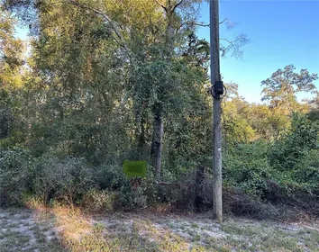 OLD TOWN FL Property