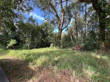 APOPKA FL Property