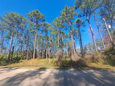 BUNNELL FL Property