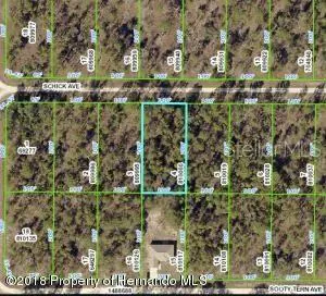 BROOKSVILLE FL Property