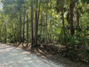 HERNANDO FL Property