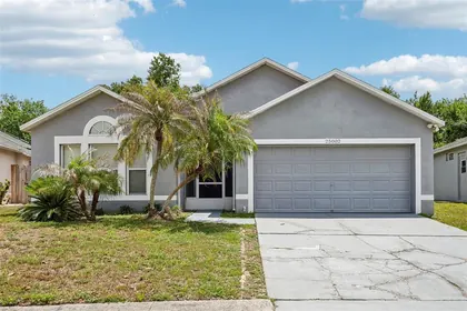 LAND O LAKES FL Home