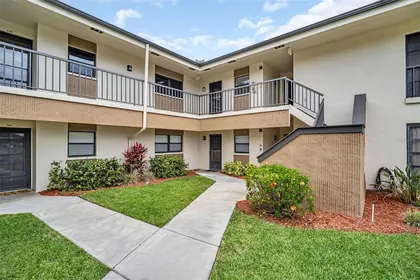 PALM HARBOR FL Home