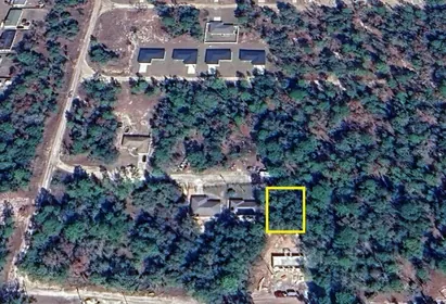 BELLEVIEW FL Property