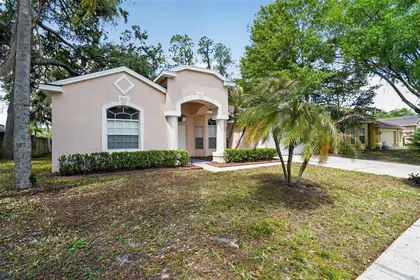 VALRICO FL Home