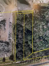 WINTER GARDEN FL Property