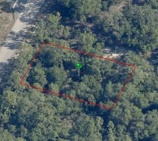CITRUS SPRINGS FL Property