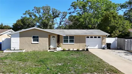 HOLIDAY FL Home