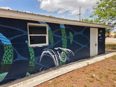 ZEPHYRHILLS FL Home