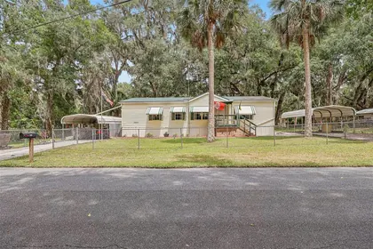 LAKE PANASOFFKEE FL Home