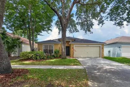 LITHIA FL Home