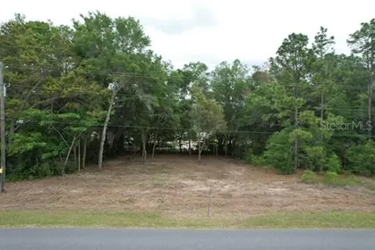 DUNNELLON FL Property