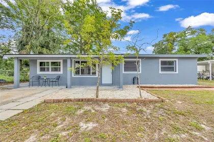 MOUNT DORA FL Home