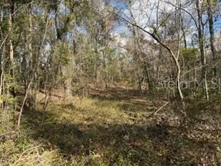BELL FL Property