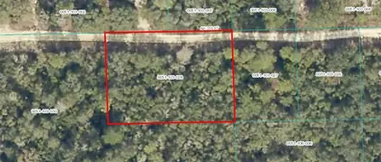 FORT MC COY FL Property