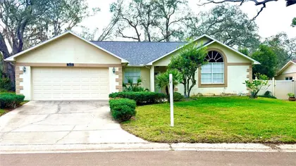 PORT RICHEY FL Home