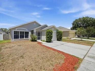 BRANDON FL Home
