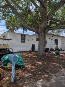CLEARWATER FL Home