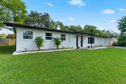 CLEARWATER FL Home