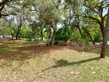 FORT MC COY FL Property