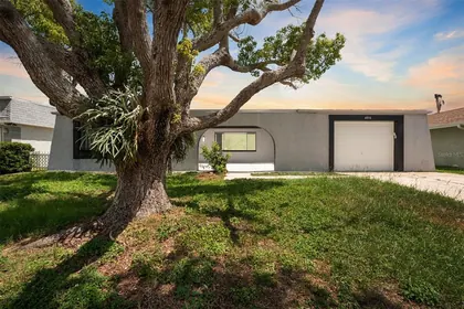 NEW PORT RICHEY FL Home