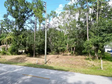 WESLEY CHAPEL FL Property