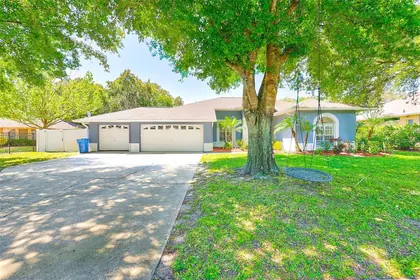 ODESSA FL Home