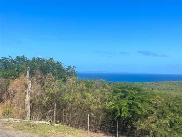 VIEQUES PR Property