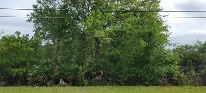 ORLANDO FL Property