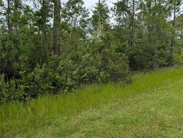 INDIAN LAKE ESTATES FL Property