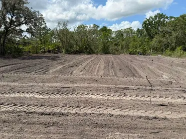 AVON PARK FL Property
