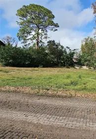 TARPON SPRINGS FL Property