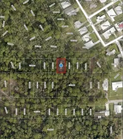 MOUNT DORA FL Property