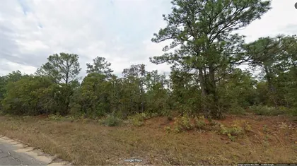 CHIPLEY FL Property