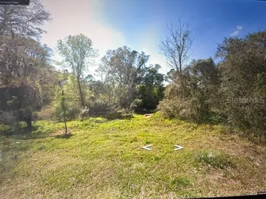 EUSTIS FL Property