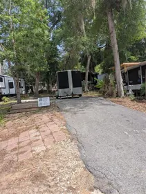 SALT SPRINGS FL Property