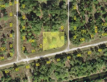 PUNTA GORDA FL Property