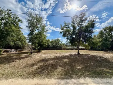 SALT SPRINGS FL Property