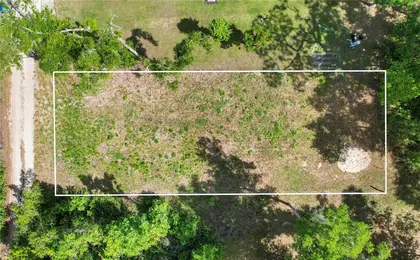 MOUNT PLYMOUTH FL Property