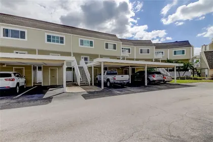 DUNEDIN FL Home