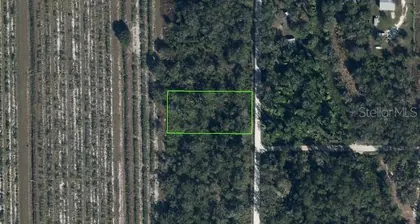 VENUS FL Property