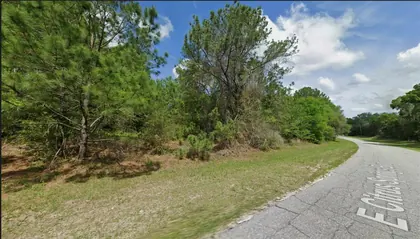 CITRUS SPRINGS FL Property