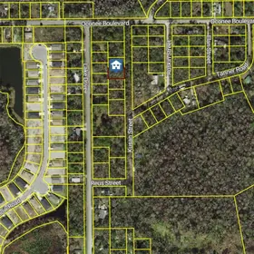 NEW PORT RICHEY FL Property