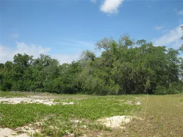 LAKE WALES FL Property