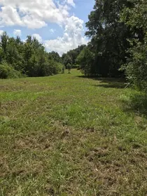 GROVELAND FL Property